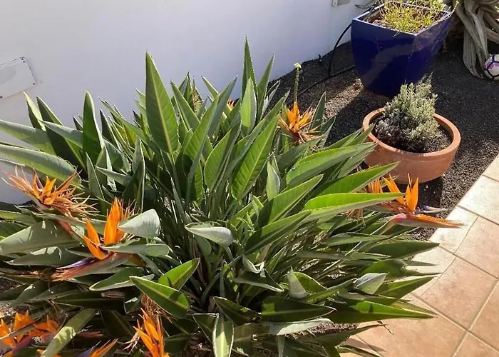 Our Soleada Cosy&flowery, Heated Pool Villa *