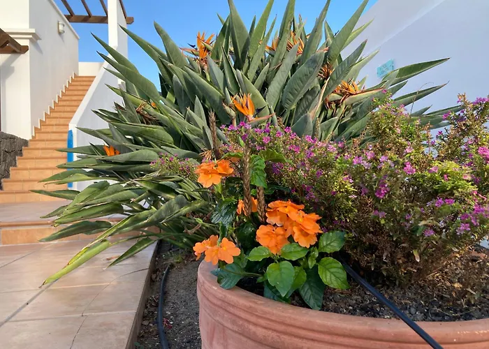 Our Soleada Cosy&flowery, Heated Pool Villa *