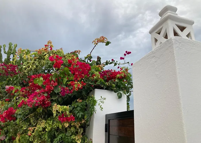 Our Soleada Cosy&flowery, Heated Pool * Playa Blanca (Lanzarote)