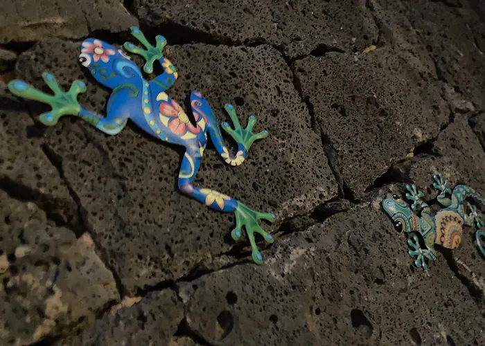 Our Soleada Cosy&flowery, Heated Pool