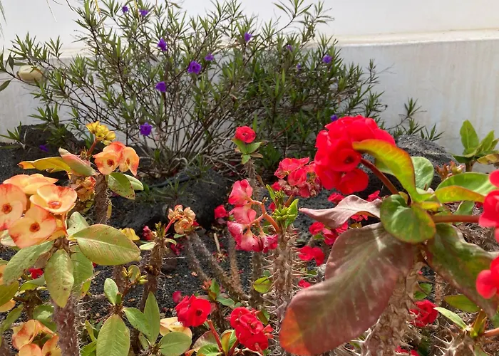 Our Soleada Cosy&flowery, Heated Pool Villa *