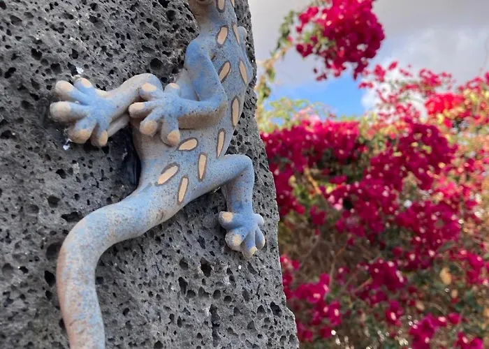 Our Soleada Cosy&flowery, Heated Pool Playa Blanca (Lanzarote)